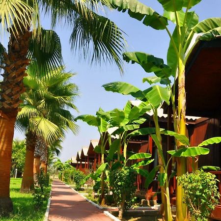 Dream Park Bungalow Titreyengol Extérieur photo